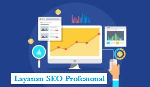 SEO Profesional