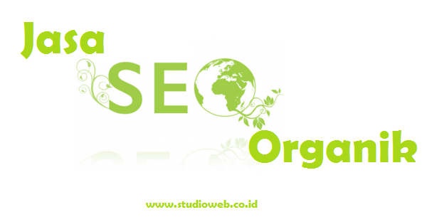 SEO Organik