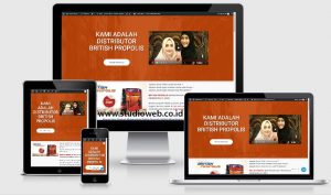 pembuatan website british propolis