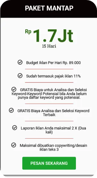 promosi bisnis ke luar negeri dengan google ads