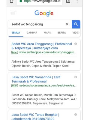 jasa google ads 1